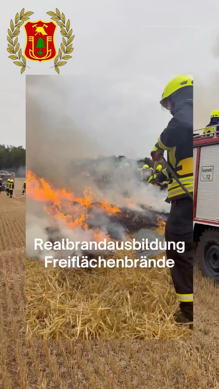 Freiwillige Feuerwehr Steina